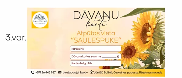 Iepriecini kādu ar dāvanu karti! Tas būs pārsteigums!